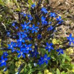 Myvatn: die Natur verblüfft uns täglich! Myvatn: die Natur verblüfft uns täglich!