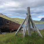 Djupavik: Sicht in die Bucht Djupavik: Sicht in die Bucht
