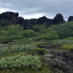 Myvatn: die Lavafelder von Dimmuborgir Myvatn: die Lavafelder von Dimmuborgir
