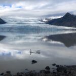 Die Gletscherzunge Flaajökull Die Gletscherzunge Flaajökull