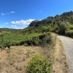 Landschaft rund um Vingrau Landschaft rund um Vingrau