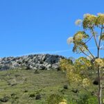 Landschaft rund um Vingrau Landschaft rund um Vingrau