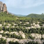Pobla de Segur: Desfiladero de Collegats Pobla de Segur: Desfiladero de Collegats
