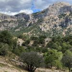 Die Piste durch die Sierra de Cazorla (von Hinojares Richtung Nacimiento de Rio Guadalquivir) Die Piste durch die Sierra de Cazorla (von Hinojares Richtung Nacimiento de Rio Guadalquivir)