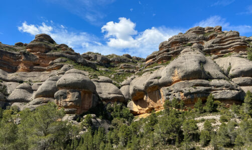 Ulldemolins: Parc Natural de la Serra de Montsan: Congost der Fraguerau