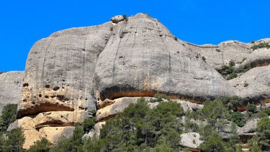 Ulldemolins: Parc Natural de la Serra de Montsan: Congost der Fraguerau