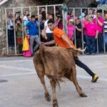 Formiche Alto: das Dorffest "la Peña Taurina" Formiche Alto: das Dorffest "la Peña Taurina"