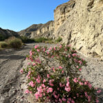 Desierto de Tabernas Desierto de Tabernas