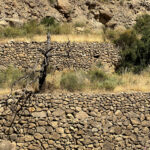 Nijar: die Wanderung "La Senda de l'agua" nach Huebro Nijar: die Wanderung "La Senda de l'agua" nach Huebro