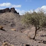 Piste von Tinghir nach Tazzarine: Bou Gafer Piste von Tinghir nach Tazzarine: Bou Gafer