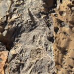 Tazzarine: Fossilienfundstelle im Jebel Sredrar Tazzarine: Fossilienfundstelle im Jebel Sredrar