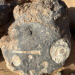 Tazzarine: Fossilienfundstelle im Jebel Sredrar Tazzarine: Fossilienfundstelle im Jebel Sredrar