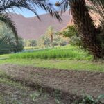 Toudgha El Oulia: Oued Toudgha Toudgha El Oulia: Oued Toudgha