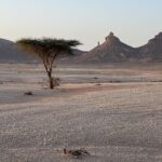 Die Bergformation "El Mdaouer EL Kbir" Die Bergformation "El Mdaouer EL Kbir"