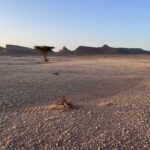 Die Bergformation "El Mdaouer EL Kbir" Die Bergformation "El Mdaouer EL Kbir"