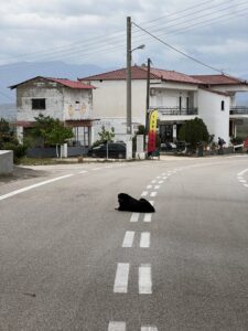 Die Hunde von Mikenes