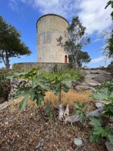 Die Windmühlen von Tyros