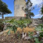 Die Windmühlen von Tyros Die Windmühlen von Tyros