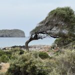 Aus welcher Richtung bläst der Wind? Aus welcher Richtung bläst der Wind?