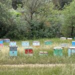 Bienenkasten Bienenkasten