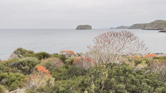 Kurz vor Monemvasia: unser Stellplatz am Meer