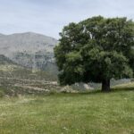 Bergstrecke zwischen Olympia und Akrata Beach Bergstrecke zwischen Olympia und Akrata Beach