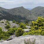 Bergstrecke zwischen Olympia und Akrata Beach Bergstrecke zwischen Olympia und Akrata Beach