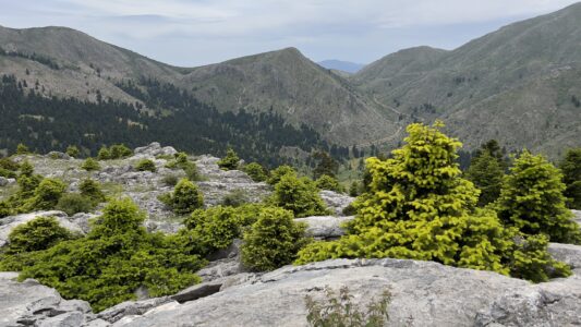 Bergstrecke zwischen Olympia und Akrata Beach