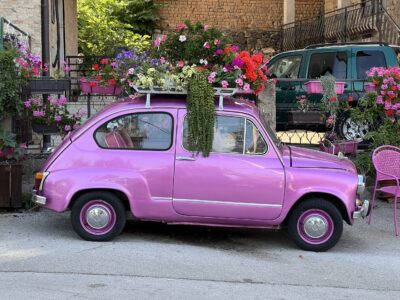 Vevchani: ein Blumengeschäft mit Fantasie