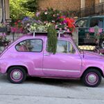 Vevchani: ein Blumengeschäft mit Fantasie Vevchani: ein Blumengeschäft mit Fantasie
