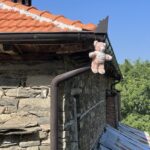 Rabdisht: Glücksbringer Rabdisht: Glücksbringer