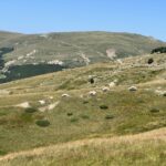 Kukës Rundfahrt