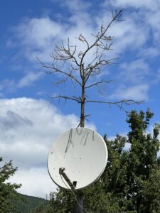 Plav: Satellitschüssel-Baum