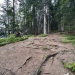 Zabljak: Wanderung um den Crno jezero Zabljak: Wanderung um den Crno jezero