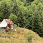 Bauernhof auf dem Weg zum Eko Katun Koljievka Bauernhof auf dem Weg zum Eko Katun Koljievka