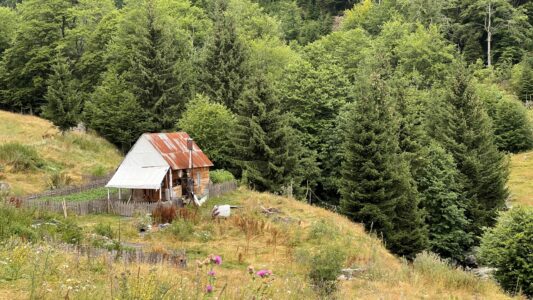 Bauernhof auf dem Weg zum Eko Katun Koljievka