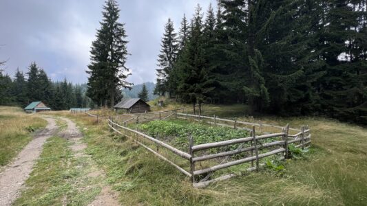 Katun Road: Murino - Berane / Sebstversorung ist in dieser Gegen hoch im Kurs