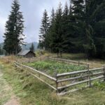 Katun Road: Murino - Berane / Sebstversorung ist in dieser Gegen hoch im Kurs Katun Road: Murino - Berane / Sebstversorung ist in dieser Gegen hoch im Kurs