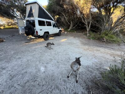 Fitzgerald River National Park: unser Fanclub erwartet uns bereits