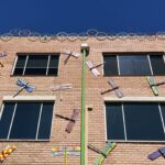 Fremantle: Street Art Fremantle: Street Art