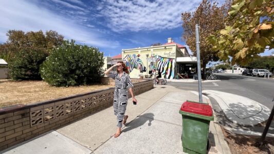 Fremantle: Street Art in South Terraces