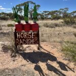 Tin Horses Highway Tin Horses Highway
