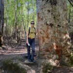 Porongurup-Nationalpark Porongurup-Nationalpark
