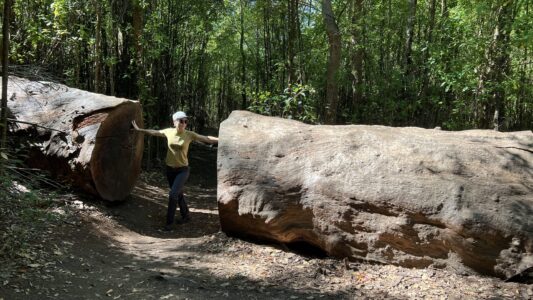 Porongurup-Nationalpark