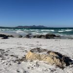 Fitzgerald River National Park: St. Mary Inlet Strand Fitzgerald River National Park: St. Mary Inlet Strand