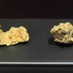 Kalgoorlie: Museum of the Goldfields. Man kann nur staunen! Kalgoorlie: Museum of the Goldfields. Man kann nur staunen!