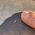 Cue: Goldsuchen ... die Erlösung ... klein aber fein! Cue: Goldsuchen ... die Erlösung ... klein aber fein!