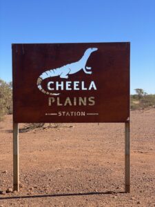 Cheela Plains Station