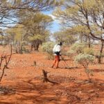 Cue: Goldsuchen ... Fabrizio irrt durch die Goldfelder! Cue: Goldsuchen ... Fabrizio irrt durch die Goldfelder!