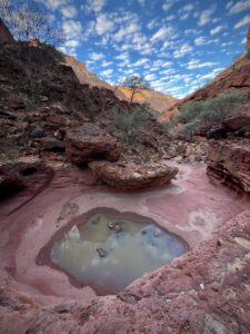 Kennedy Range: Temple Gorge